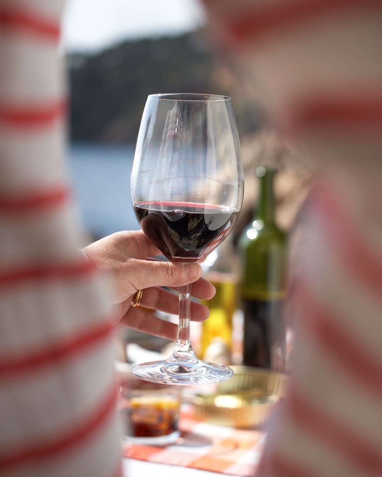 PINOT NOIR